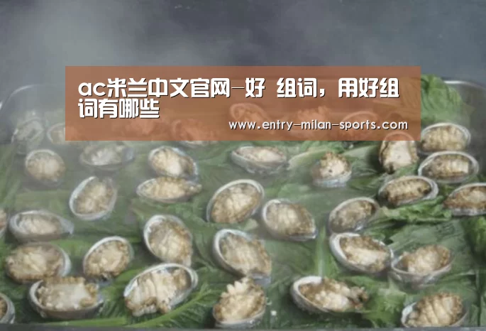 ac米兰中文官网-好 组词,用好组词有哪些(图1) 官网入口