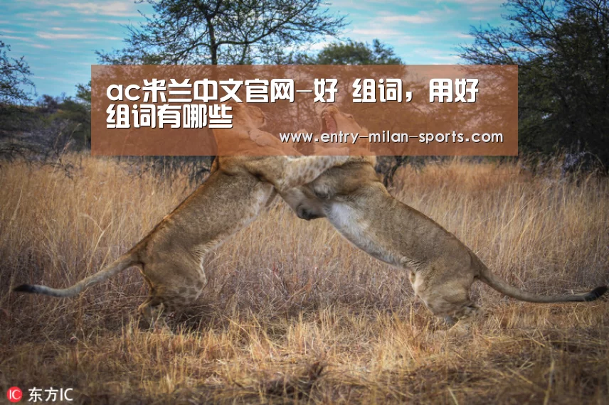 ac米兰中文官网-好 组词,用好组词有哪些(图3) 米兰体育