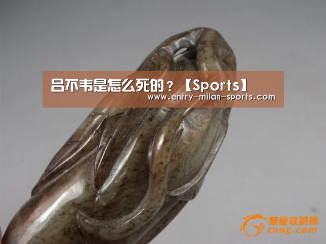 吕不韦是怎么死的？【Sports】(图1)